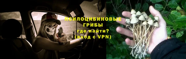 сатива Алексин