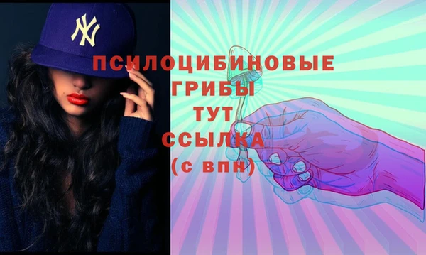 МДПВ Алексеевка