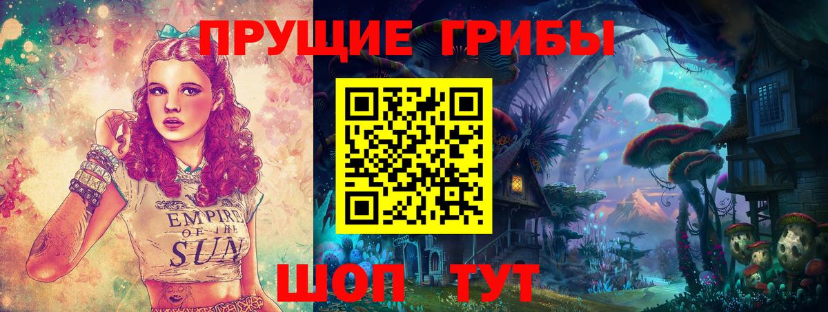 Псилоцибиновые грибы MAGIC MUSHROOMS  Вход с VPN  Шатура 