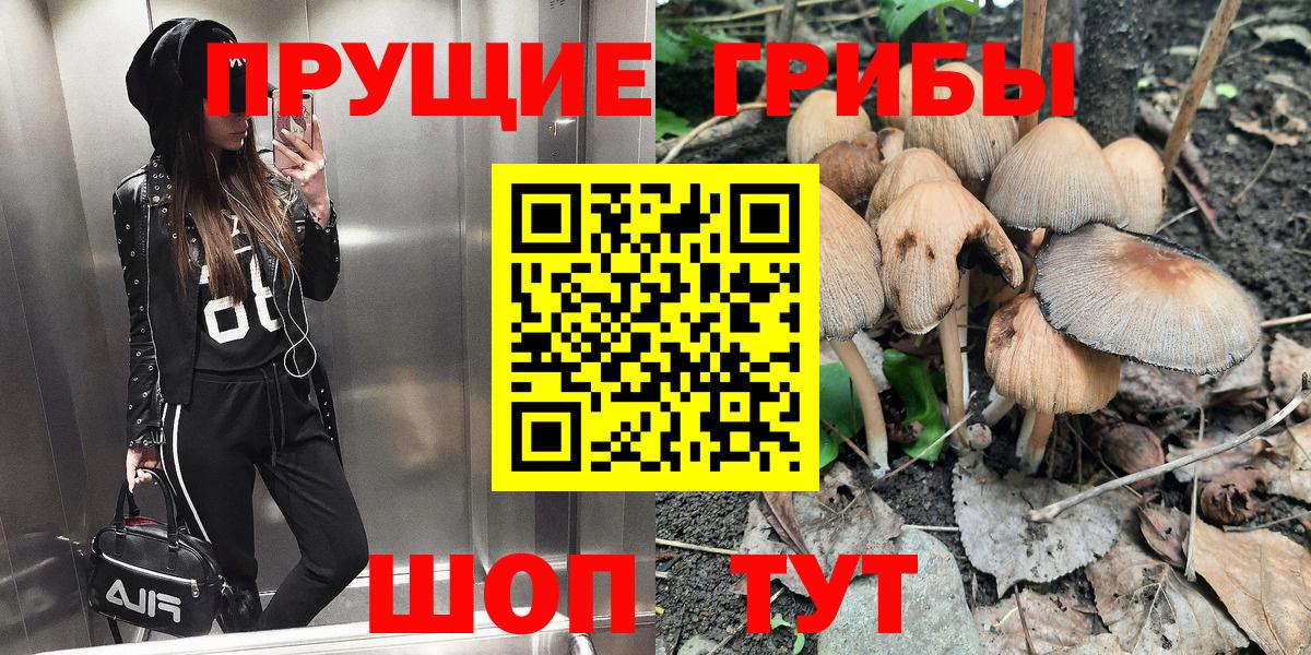 Галлюциногенные грибы мухоморы Шатура